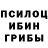 Галлюциногенные грибы Cubensis Jeka Churilo